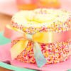 15mm Berisfords Ombre Dream Ribbon