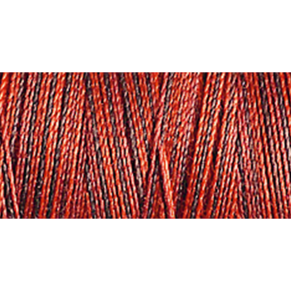 4007