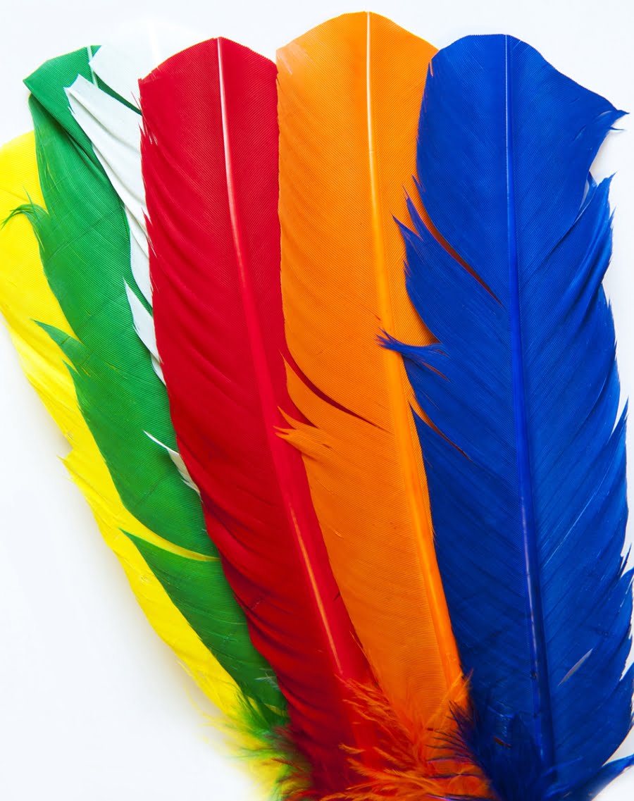 IFEATH, 12" long Indian style (as in Red Indian) feathers10pieces